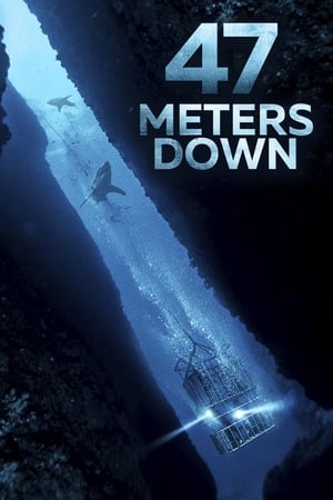 47 Metres Down (2017) Hindi Dual Audio [850MB] HD Poster Download - filmyfly
