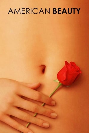 American Beauty (1999) Hindi Dual Audio [900MB] HD Poster Download - filmyfly