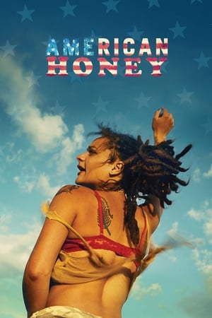 American Honey (2016) Hindi Dual Audio [1.4GB] HD Poster Download - filmyfly