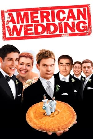 American Wedding (2003) Hindi Dual Audio 300MB HD Poster Download - filmyfly
