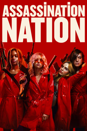 Assassination Nation (2018) Hindi Dual Audio 400MB HD Poster Download - filmyfly