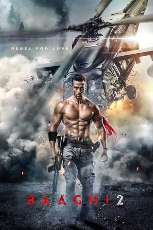 Baaghi 2 2018 Hindi Movie Pre- [170MB] HD Poster Download - filmyfly