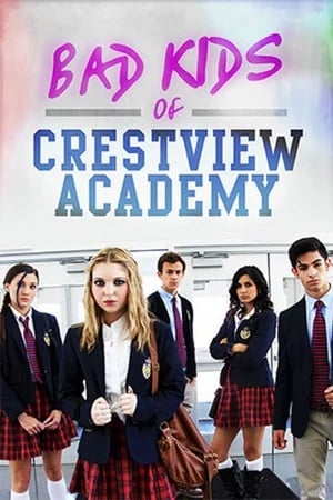 Bad Kids of Crestview Academy (2017) Hindi Dual Audio 330MB HD Poster Download - filmyfly