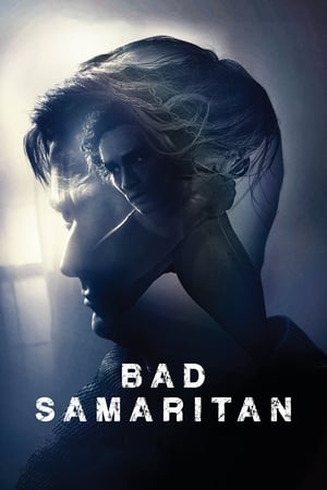 Bad Samaritan (2018) Hindi Dual Audio [1GB] HD Poster Download - filmyfly