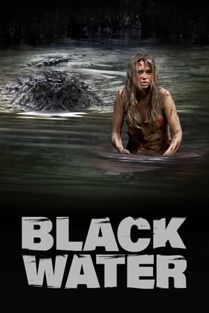 Black Water (2007) Hindi Dual Audio [1GB] HD Poster Download - filmyfly