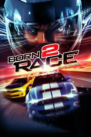 Born to Race Fast Track 2014 Hindi Dual Audio 320MB