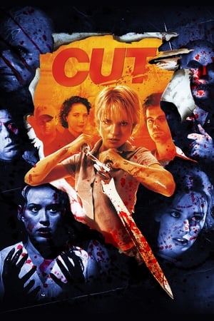 Cut (2000) Hindi Dual Audio [1.1GB] HD Poster Download - filmyfly