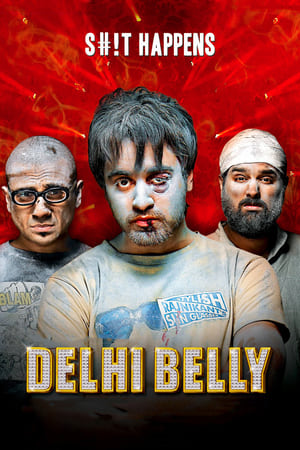 Delhi Belly 2011 Full Movie [300MB] HD Poster Download - filmyfly