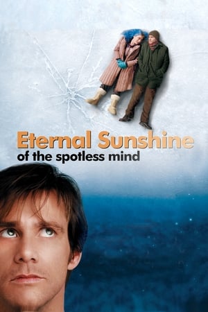 Eternal Sunshine Of The Spotless Mind 2004 Hindi Dual Audio [1.8GB] HD Poster Download - filmyfly
