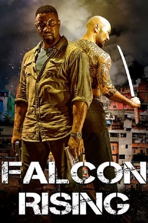 Falcon Rising (2014) Hindi Dual Audio [980MB] HD Poster Download - filmyfly