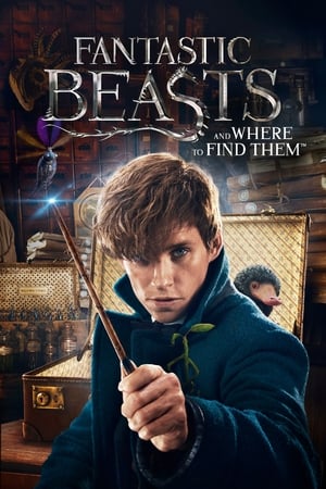 Fantastic Beasts and Where to Find Them 2016 Full Movie HC [] [1GB] HD Poster Download - filmyfly