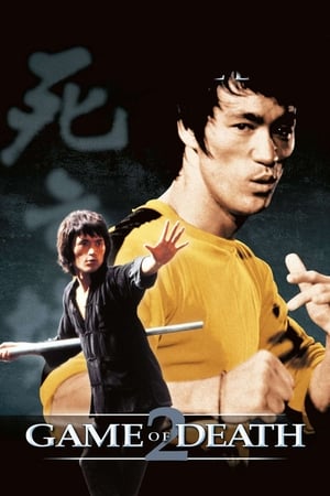 Game of Death II (1981) Dual Audio Hindi 300MB HD Poster Download - filmyfly