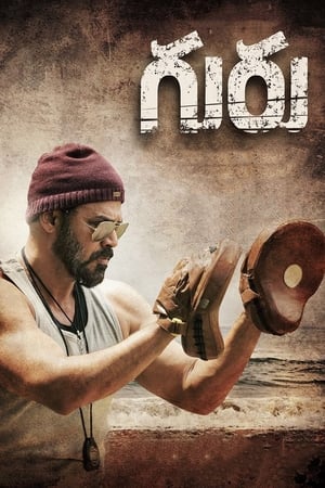 Guru (2017) Hindi Dual Audio [1.1GB] HD Poster Download - filmyfly