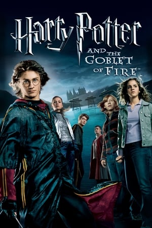 Harry Potter and the Goblet of Fire (2005) 100MB Dual Audio [Hindi-Enlish] HD Poster Download - filmyfly