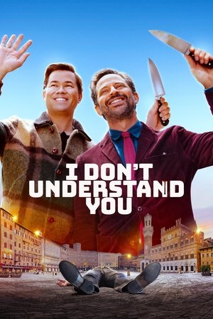 I Don't Understand You (2024) Hindi (MULTI AUDIO) – – HD Poster Download - filmyfly