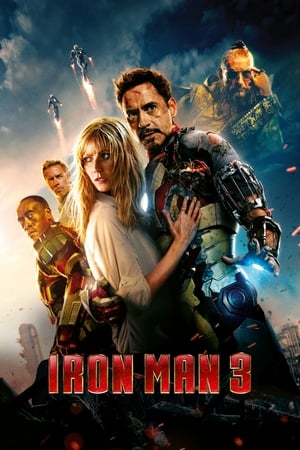 Iron Man 3 (2013) Hindi Dual Audio [1GB] HD Poster Download - filmyfly