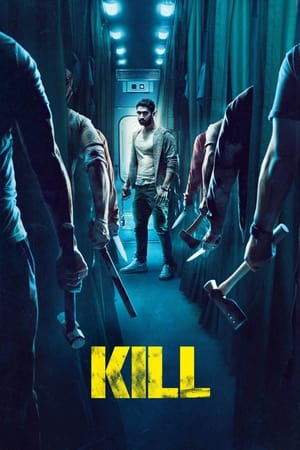 Kill 2024 Hindi HD Poster Download - filmyfly