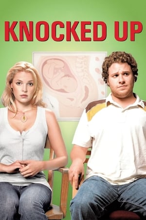 Knocked Up (2007) Hindi Dual Audio 350MB HD Poster Download - filmyfly