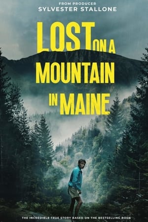 Lost on a Mountain in Maine 2024 Hindi Subbed HD Poster Download - filmyfly