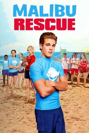 Malibu Rescue (2019) Hindi Dual Audio 650MB HD Poster Download - filmyfly