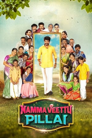 Namma Veettu Pillai (2019) (Hindi -Tamil) Dual Audio [1.4GB] HD Poster Download - filmyfly