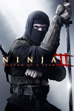 Ninja Shadow of a Tear 2013 Hindi Dual Audio [800MB]
