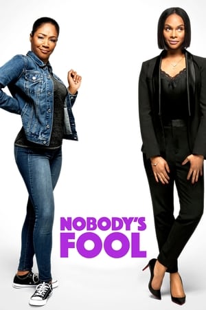 Nobody's Fool (2018) Hindi Dual Audio 360MB HD Poster Download - filmyfly