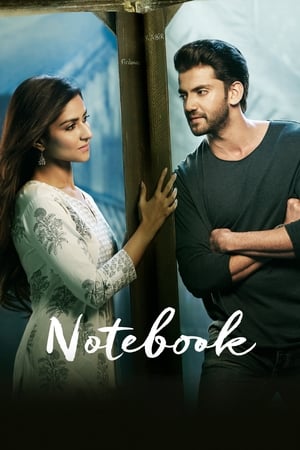Notebook (2019) Hindi Movie Pre- [700MB] HD Poster Download - filmyfly