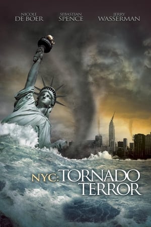 NYC Tornado Terror 2008 Hindi Dual Audio 300MB HD Poster Download - filmyfly