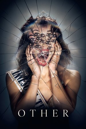 Other (2025) Hindi (MULTI AUDIO) HD Poster Download - filmyfly