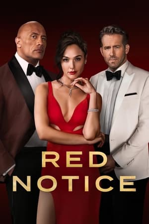 Red Notice (2021) Hindi Dual Audio [1.1GB] HD Poster Download - filmyfly