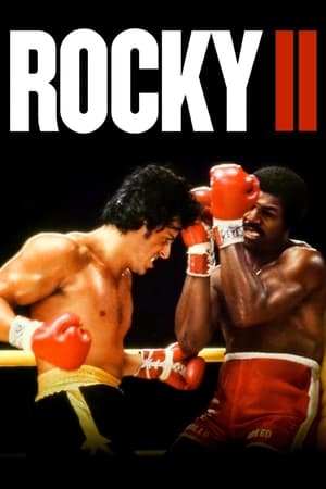 Rocky II (1979) Dual Audio Hindi Full Movie - 850MB HD Poster Download - filmyfly