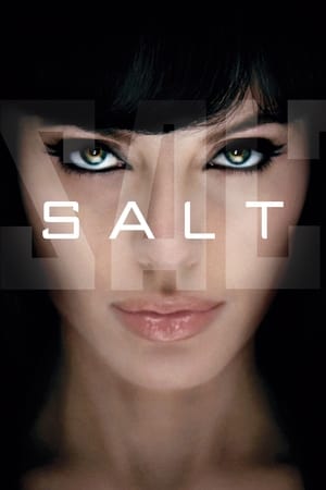 Salt (2010) Hindi Dual Audio [800MB] HD Poster Download - filmyfly