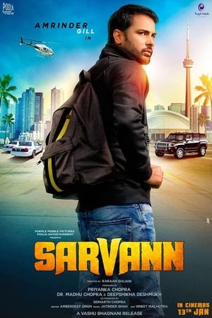 Sarvann (2017) Movie Punjabi PDVDRip [650MB] Download HD Poster Download - filmyfly