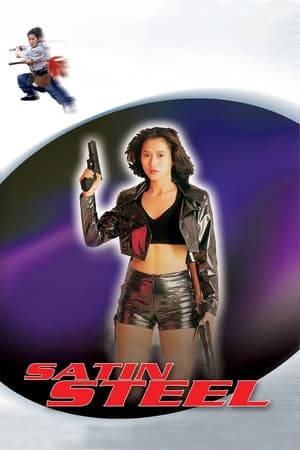 Satin Steel (1994) Hindi Dual Audio [700MB] HD Poster Download - filmyfly