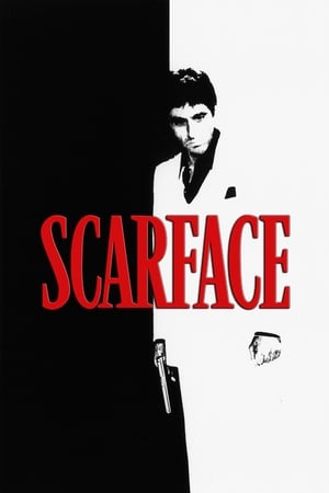 Scarface (1983) Dual Audio Hindi 500MB HD Poster Download - filmyfly