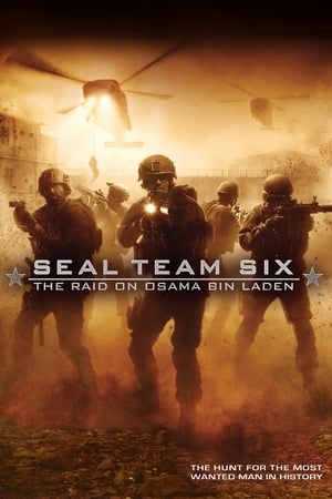 Seal Team Six: The Raid on Osama Bin Laden (2012) Hindi Dual Audio 300MB HD Poster Download - filmyfly