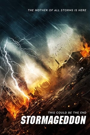 Stormageddon (2015) Hindi Dual Audio [1.1GB] HD Poster Download - filmyfly