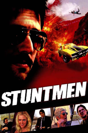 Stuntmen 2009 Hindi Dual Audio 300MB HD Poster Download - filmyfly