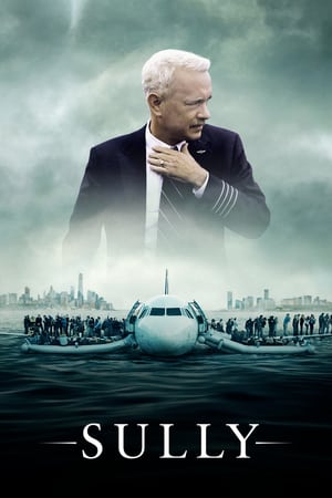 Sully (2016) Hindi (Unofficial Dubbed) Dual Audio [] [720p] HD Poster Download - filmyfly