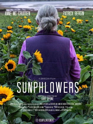 Sunphlowers (2025) Hindi (MULTI AUDIO) – – HD Poster Download - filmyfly