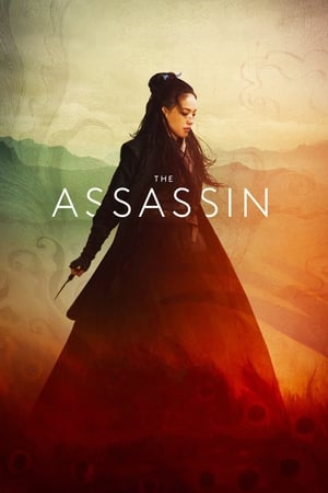 The Assassin 2015 Hindi Dual Audio [1.1GB] HD Poster Download - filmyfly