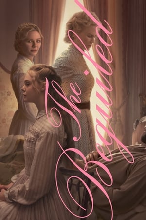 The Beguiled (2017) Hindi Dual Audio [780MB] HD Poster Download - filmyfly