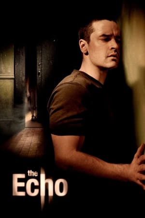 The Echo (2008) Hindi Dual Audio 300MB HD Poster Download - filmyfly