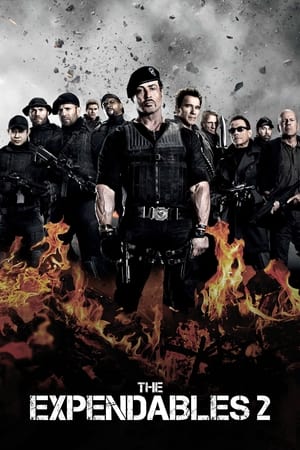 The Expendables 2 (2012) 100mb Hindi Dual Audio movie Download HD Poster Download - filmyfly