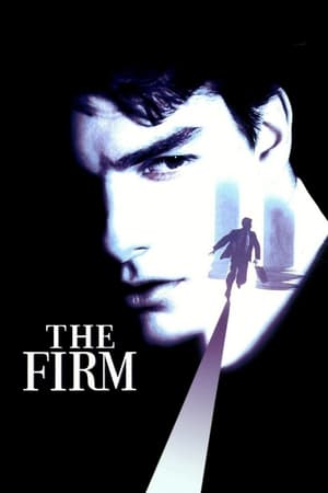 The Firm (1993) Hindi Dual Audio 450MB HD Poster Download - filmyfly