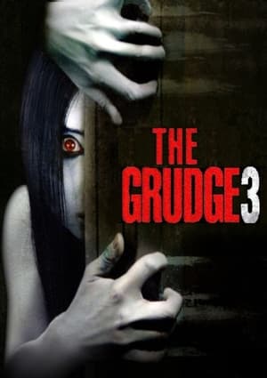 The Grudge 3 2009 Hindi Dual Audio 300MB HD Poster Download - filmyfly
