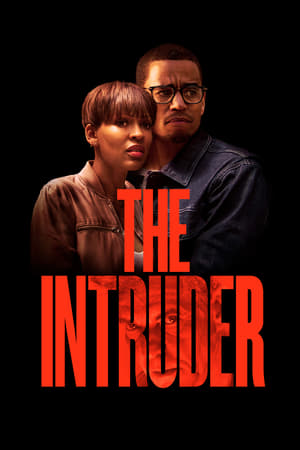 The Intruder (2019) Hindi Dual Audio 300MB HD Poster Download - filmyfly