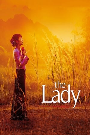 The Lady 2011 Dual Audio Hindi Movie - 920MB HD Poster Download - filmyfly