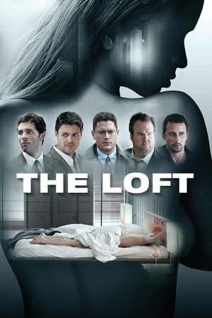 The Loft 2014 Hindi Dubbed 340MB HD Poster Download - filmyfly